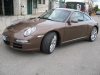 PORSCHE BROWN